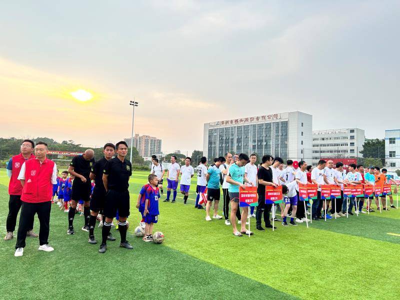 揭秘日本红白歌会：华人歌手的璀璨星光与经典瞬间